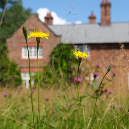 Beech Hill B&B Weaverham Eksteriør billede