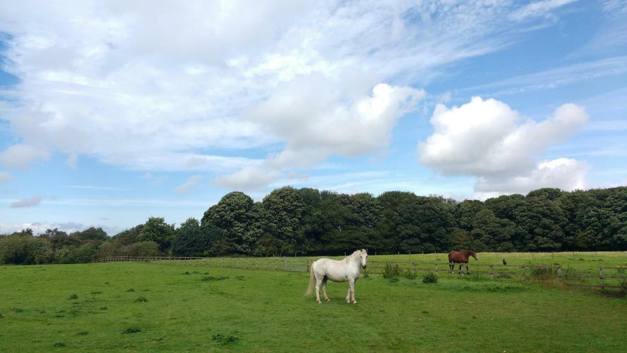 Beech Hill B&B Weaverham Eksteriør billede